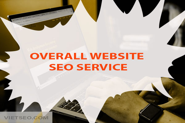 Overall website SEO service